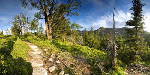 Szlak w Karkonoszach